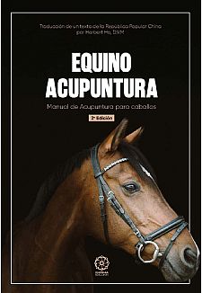 Equino Acupuntura